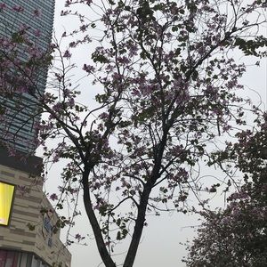 Meet your Posher, Katy